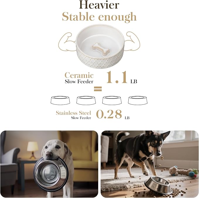 MALACASA Ceramic Dog Food Bowl, Water Dish for Small Breeds, 1.5 Cups | Honeycomb Pattern, Ceramic Pet Bowl, Food and Water Dish, Dishwasher and Microwave Safe, for Small Dogs and Cats - Image 5