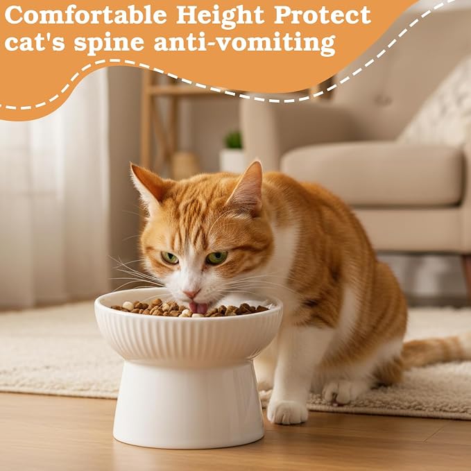 2 Pcs Cat Slow Feeder Bowl, Raised Ceramic Cat Slow Feeder Bowl, Elevated Cats Dog Food Bowls High Edge, Anti Vomiting for Pets Kitten Puppies Dry Wet Food and Water, Dishwasher Safe - Image 6