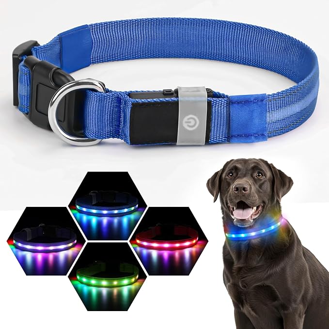 LED Dog Collar, RGB Light Up Dog Collar USB Rechargeable 6 Modes | Waterproof Light Up Dog Collar with Soft Nylon Comfort, Adjustable Fit for Small Medium Large Dogs Royal Blue M - Image 2