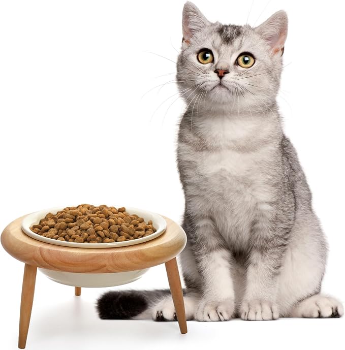 DEAYOU Ceramic Cat Bowl Adjustable, Tilted Elevated Raised Pet Dish, No Spill Pet Food Water Feeder, Slanted Dog Bowl with Wood Stand for Kitty, Pet Supplies, Stress Free, 600 ML/20 OZ, Cream White - Image 3