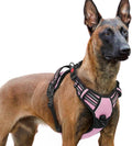 rabbitgoo Dog Harness for Large, Updated Easy On & Off with 3 Buckles | No Pull No Choke, Walking with 2 Clips and Handle, Adjustable Soft Reflective, Pink, X-large by rabbitgoo