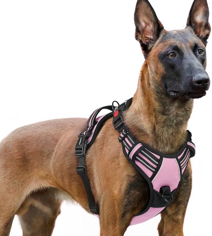 rabbitgoo Dog Harness for Large, Updated Easy On & Off with 3 Buckles | No Pull No Choke, Walking with 2 Clips and Handle, Adjustable Soft Reflective, Pink, X-large by rabbitgoo