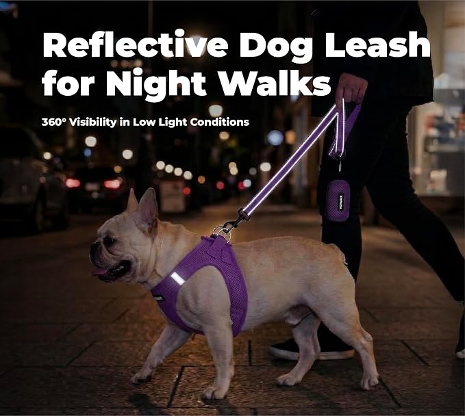 Best Pet Supplies Voyager Nylon Dog Leash - Purple, Medium | 5ft in Length, 3/4" in Width, Reflective, Soft Neoprene Handle, Heavy Duty Metal Clips for Running, Walking & Training - Image 4