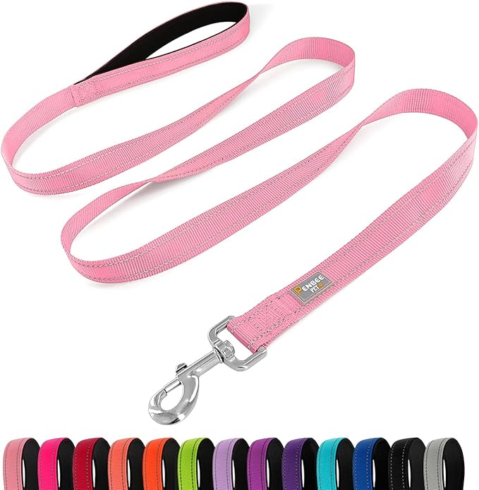 6 FT Basic Dog Leash for Large Dogs,Pink | Padded Handle,Metal D-Ring,Heavy Duty Nylon Webbing, for Walking & Training by Penseepet