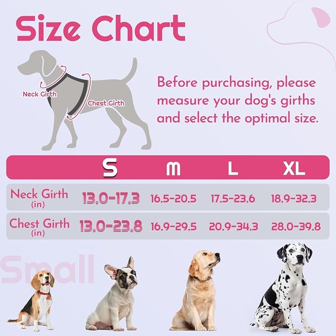 Eagloo Dog Harness No Pull for Small Dogs, Easy On & Off with 3 Buckles | No Choke with Front Clip, Adjustable Fit, MOLLE System, Reflective Vest, Easy Control for Walking, Pink & Black, Small - Image 2