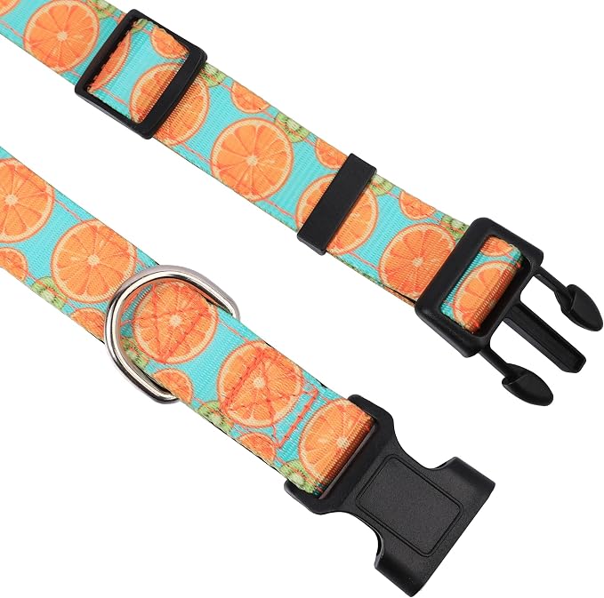 Reflective Dog Collar, Adjustable Soft Neoprene Padded,Summer Lemon,S | Breathable Nylon for Small Dogs,Tear-Resistant Webbing,Chafe‑Free on Walks and Hikes,Metal D-Ring,Night Safety - Image 3