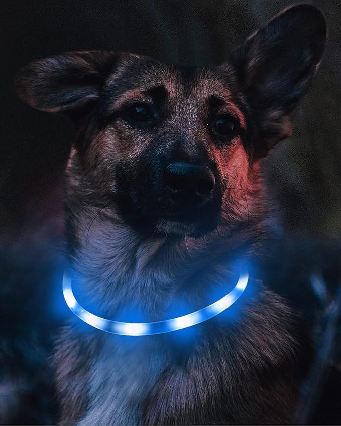 Joytale Light Up Dog Collar, LED Silicone Cut-to-Fit Rainproof, Blue | Soft Skin-Friendly Won't Chafe, 360° Glow Keeps Dogs Visible at Night, 3 Modes, Rechargeable USB-C, Small Medium Large Dogs - Image 3