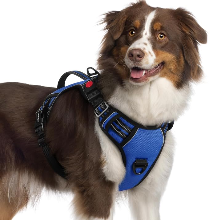 rabbitgoo Large Dog Harness, Easy Wear with 3 Buckles and Lift Handle | No Pull with Front Clip for Walking, Adjustable Soft Padded, Reflective, Easy Control, Blue, X-Large by rabbitgoo