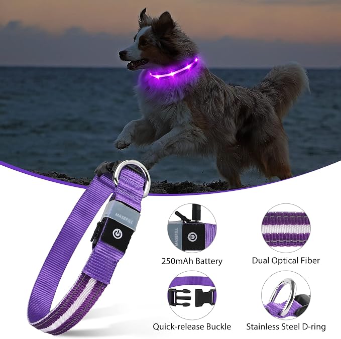 MASBRILL Led Dog Collar - Rechargeable, Water-Resistant, Flashing Glowing Collar for Night Walking - S(15.75 * 0.98in) - Image 3