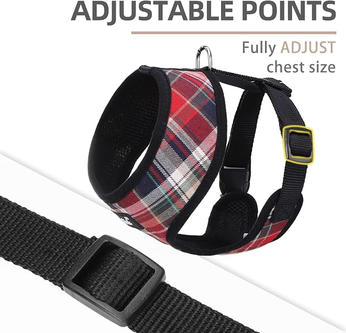 PUPTECK Small Dog Harness and Leash Set No Pull for XS XXS Sized Dogs Puppy | Escape Proof No Choke Pet Cat Adjustable Soft Padded Walking Vest - Image 3