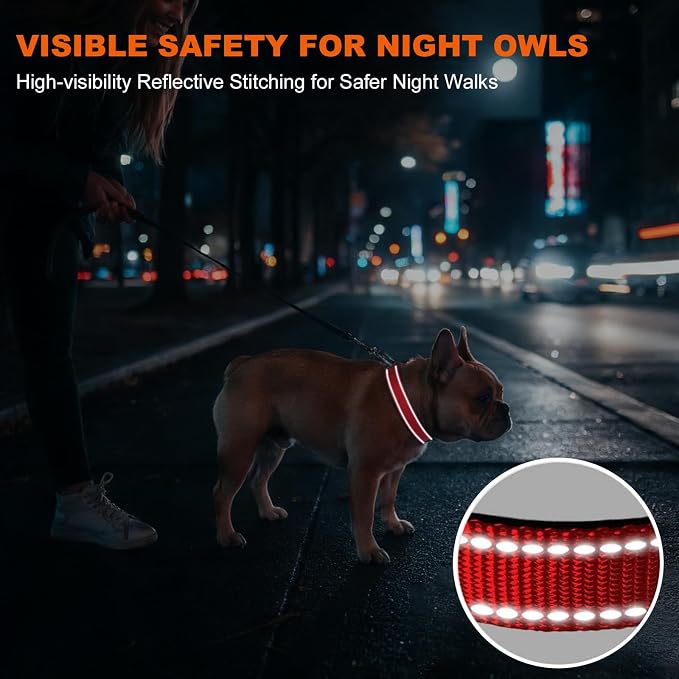 Taglory Reflective Small Dog Collar, Comfortable for Safe Night Walks, Red | Night-Walk Visibility, Soft Neck Cushioning, Adjustable 10-16 in, Locking Buckle, D-Ring for Leash and ID Tags - Image 5