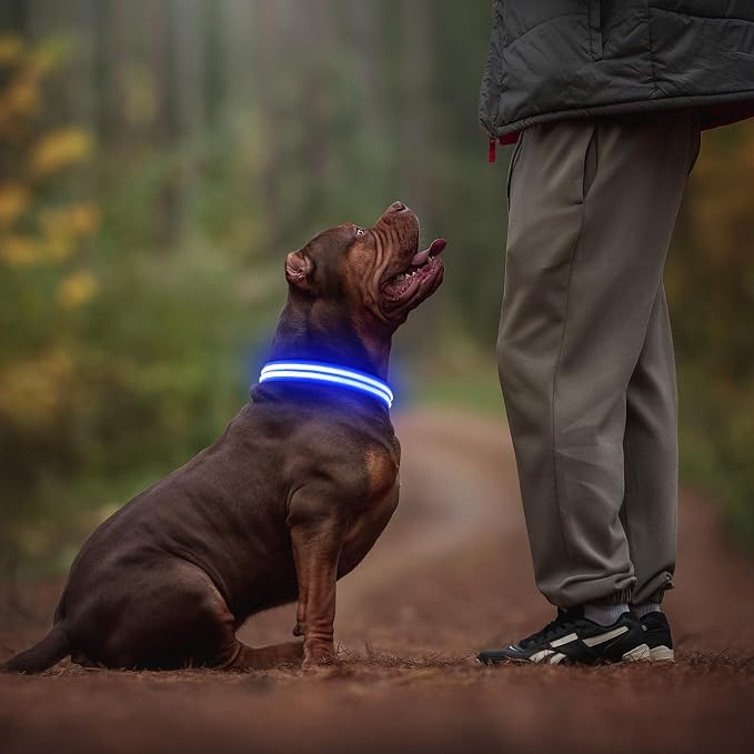 Illumifun Light Up Dog Collar, Rechargeable Water-Resistant LED Dog Collar Glow in the Dark, Flashing Lighted Collars for Pet Walking at Night (Blue, Small) - Image 5