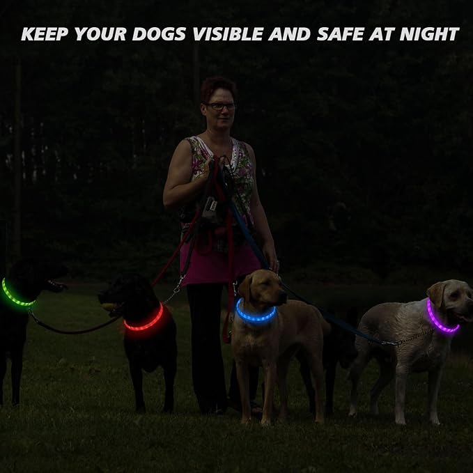 LED Multi-Color Dog Collar, Rechargeable 7 Colors Changing Light Up Dog Collar, Dog Lights Make Pet Visible and Safety for Night Walking，Outdoor, Camping, for Small Medium Large Dogs - Image 2