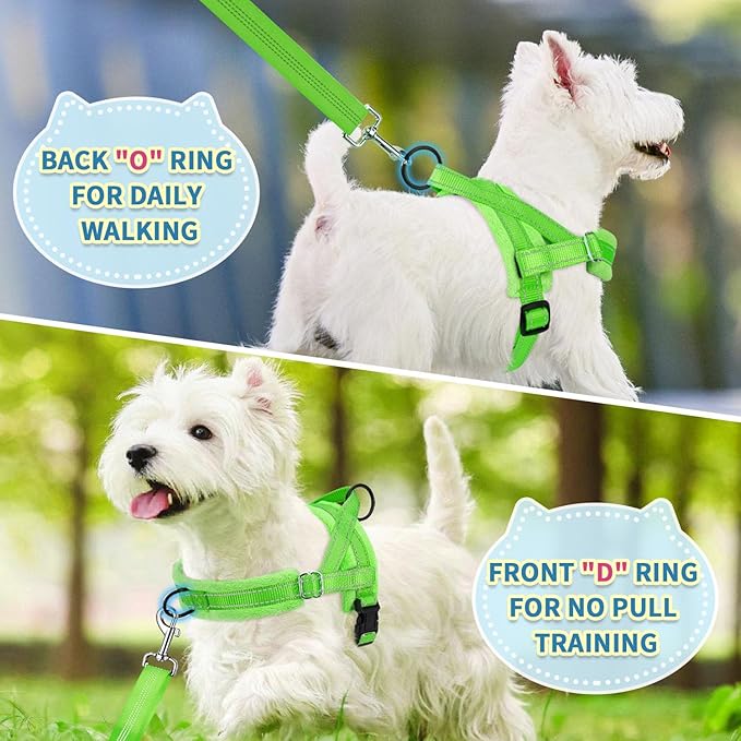 SlowTon No Pull Small Dog Harness and Leash Set with Front Clip | Soft Padded, Neck & Chest Adjustable, Lightweight, Anti-Twist, Puppy Vest Harness Pet Lead Combo for Small Medium Dog, G XS - Image 4