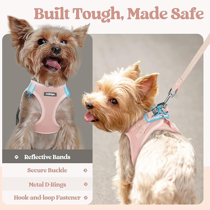 rabbitgoo Dog Harness Small Sized and Leash Set, Step-in Puppy Pet Vest | Light, Soft, Breathable Air Mesh, Easy on and Remove with Hook & Loop, Secure Reflective for Walking, Pink XXS - Image 5
