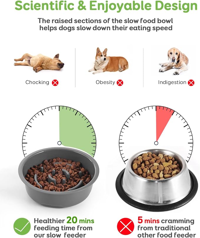 Pawque 35oz Elevated Slow Feeder Dog Food Bowls with Adjustable Stand | 3 Heights (6.1", 7.7", 9.3"), Raised Dog Bowls for Medium and Small Breed Dogs Cats, Non Slip Rubber & Mess Proof - Image 4