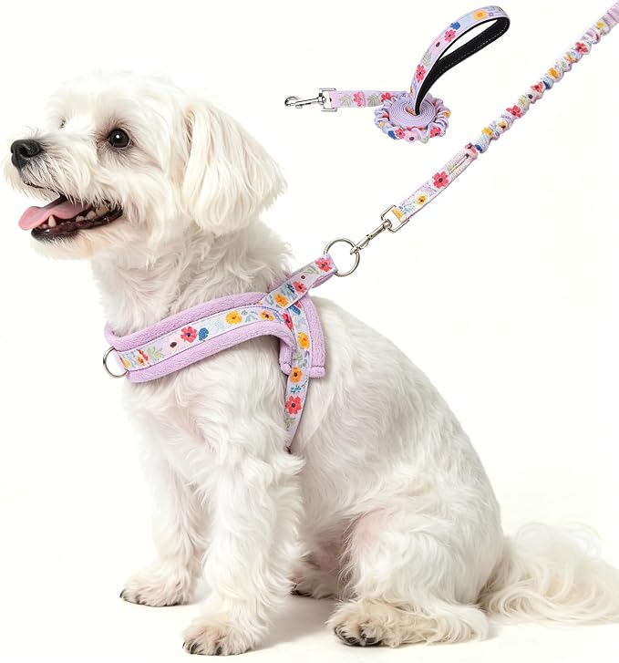 BEAUTYZOO Small Dog Harness and Leash Set, No Pull Step in Puppy Vest | Adjustable Quick Fit No Choke Escape Proof, Breathable with Handle, Lightweight, Easy Control for Walking, Floral S by BEAUTYZOO