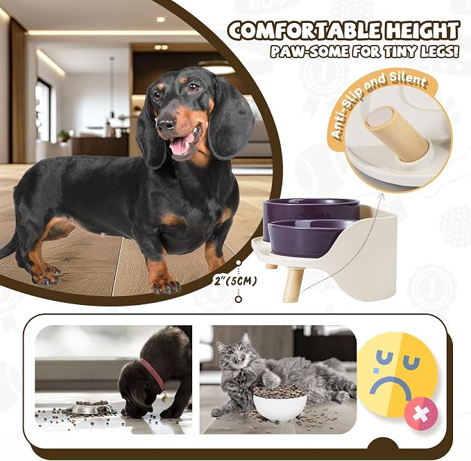 Raised Dog Feeder Bowl Stand (Without Bowls), Fits Dish up to Φ 6" | Spill Proof Elevated Dog Food Stand, Double 3 Diameters Pet Food Holder for Small and Medium Breeds and Cats, Grey - Image 5