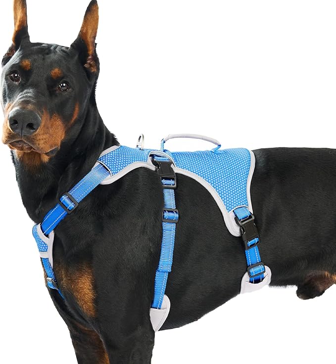 Escape Proof Dog Harness, Dachshund Harness, Reflective Dog Harness with Handle, Durable,Adjustable Vest for Small Medium Large Dogs Walking, Training, and Running Gear (Sea Blue,XL) by Huntboo
