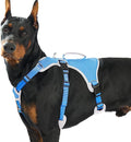 Escape Proof Dog Harness, Dachshund Harness, Reflective Dog Harness with Handle, Durable,Adjustable Vest for Small Medium Large Dogs Walking, Training, and Running Gear (Sea Blue,XL) by Huntboo