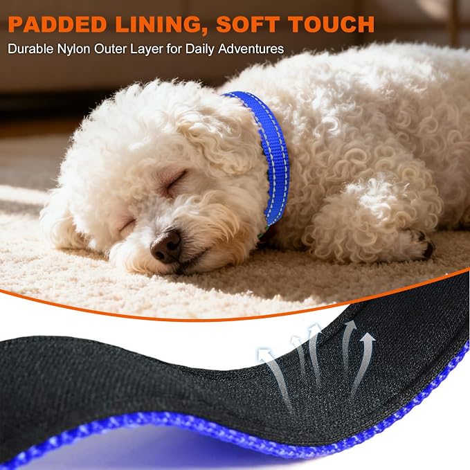Taglory Reflective Dog Collar for Puppies, Gentle and Safe for Night Walks | Night-Walk Visibility, Soft Neck Cushioning, Adjustable 8-12 in, Locking Buckle, D-Ring for Leash and ID Tags - Image 4
