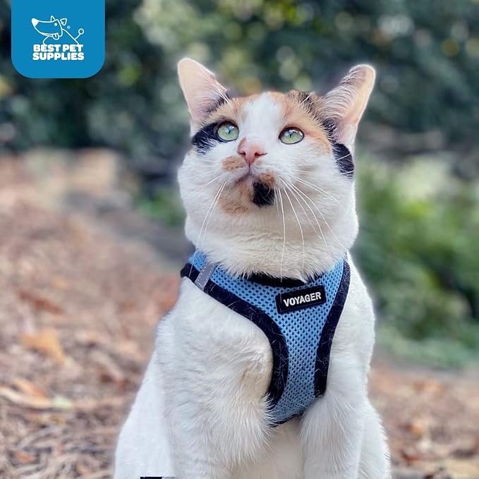 Voyager Step-in Air Dog Vest Harness - Baby Blue/Black Trim, Medium | 16 - 18" in Chest, Reflective Bands, All Weather Breathable Air Mesh, Cats Compatible, Lightweight, Fast Drying - Image 10