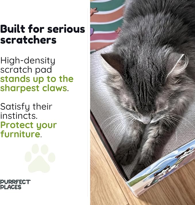 Themed Cardboard Cat House & Scratcher | Beach Theme | Enclosed Privacy Bed and Premium Corrugated Scratch Pad for Small, Medium & Large Indoor Cats, 13.5 inches (Meow Beach) - Image 3