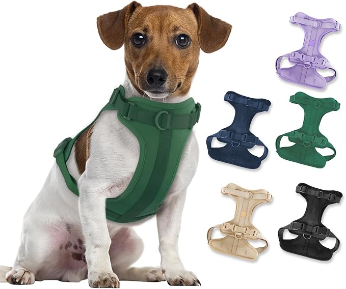 Wisedog No Pull Dog Harness, Pine Green, Medium | Lightweight, Adjustable Breathable Pet Vest, Soft & Comfortable Cushion, Small Medium Large Dogs by WisedogPetSupplies
