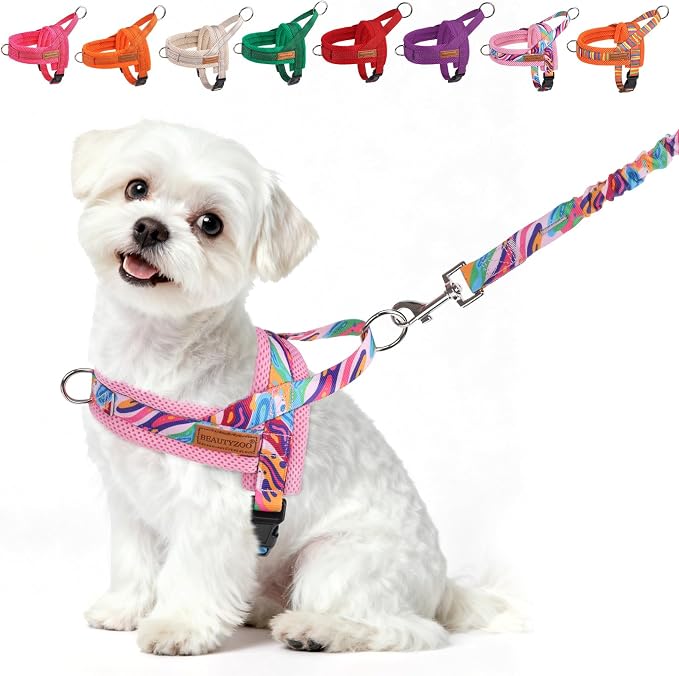 BEAUTYZOO Dog Harness for Small Dogs,No Pull Dog Harness and Leash Set,Soft Breathable Escape Proof Puppy Vest Harnessss with Handle,Lightweight Quick Fit Harness for Girl Boy Dogs Training Walking,S by BEAUTYZOO