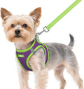 rabbitgoo Dog Harness Small Sized and Leash Set, Step in Soft Vest | Breathable Mesh, Easy Wear with Hook & Loop, Light and Reflective for Walking, Multi-colored, Purple & Green, XS by rabbitgoo