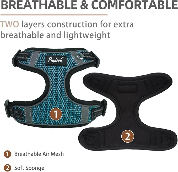 PUPTECK Dog Harness and Leash Set Small Sized, Step in No Pull Adjustable Puppy Cat Harness Reflective Pet Vest - Image 2