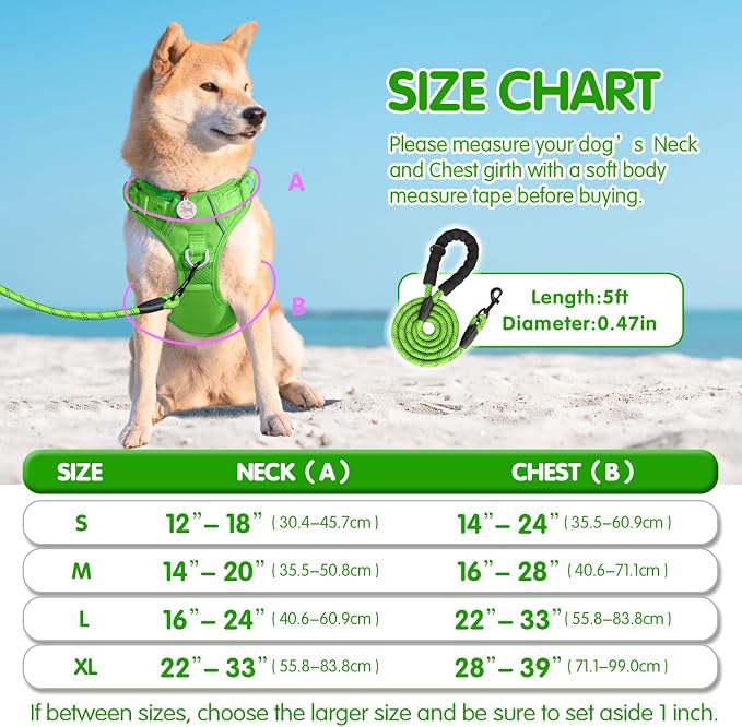 PoyPet Dog Harness and Leash Set, No Pull Vest with Front Clip and Handle | Escape Proof, Reflective, 3 Buckles, 2 D-rings, Adjustable, Soft Padded, 5 Feet Leash, for Walking Training, Green, M - Image 6