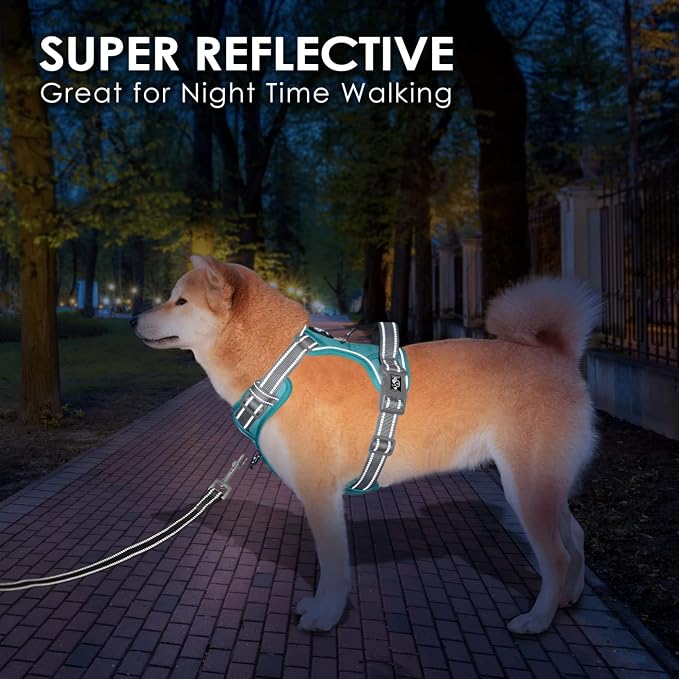 No Pull Dog Harness, Unique Colors Reflective Adjustable Dog Vest, with Soft Training Handle Metal Clips for Small Medium Large Dogs (Mint Green Base & Grey Straps,L) - Image 6