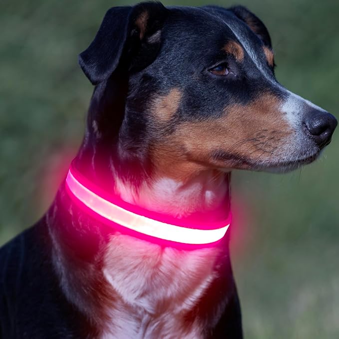 VIZPET LED Dog Collar, Light up Dog Collar Adjustable Safety Glowing Collar | USB Rechargeable Super Bright Light Collars for Dogs(Medium, Pink) - Image 7