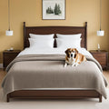H.VERSAILTEX Plush Chenille Couch Cover for Dogs Pets Blanket for Bed Anti-Slip Soft and Durable Furniture Protector for Small Medium Large Cats Washable (52" x 82", Taupe) by HVERSAILTEX