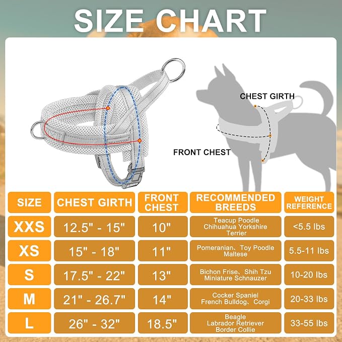 BEAUTYZOO Small Dog Harness and Leash Set, No Pull Step in Puppy Vest | Breathable Mesh with Handle, Reflective, Adjustable No Choke Escape Proof, Lightweight, Easy Control for Walking, Grey S - Image 9