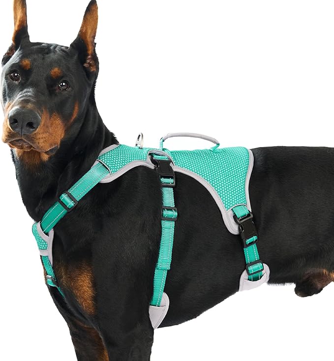 Escape Proof Dog Harness, Dachshund Harness, Reflective Dog Harness with Handle, Durable,Adjustable Vest for Small Medium Large Dogs Walking, Training, and Running Gear (Mint Green,XL) by Huntboo