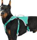 Escape Proof Dog Harness, Dachshund Harness, Reflective Dog Harness with Handle, Durable,Adjustable Vest for Small Medium Large Dogs Walking, Training, and Running Gear (Mint Green,XL) by Huntboo