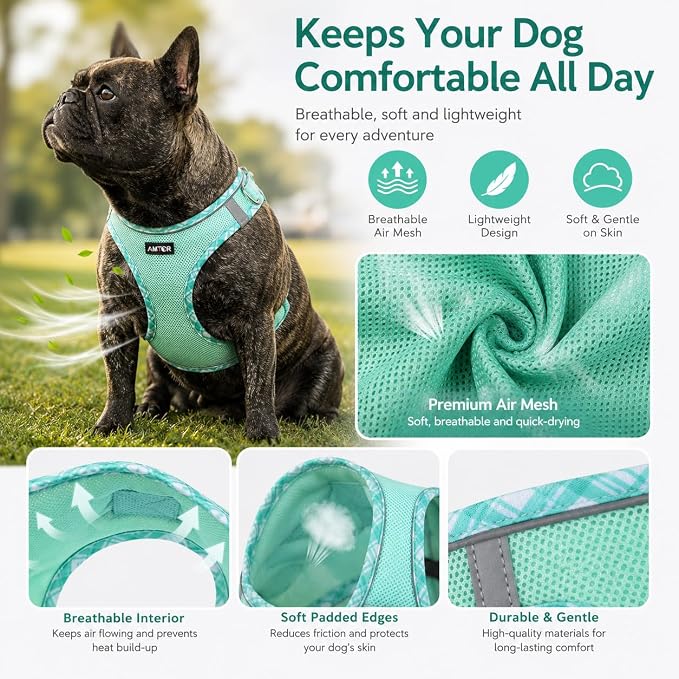 AMTOR Small Dog Harness with Leash Set, No Escape Easy Walk Puppy Harnesses for Training Walking, Step-in Reflective Soft Dogs Vest for XS S Medium Extra-Small Large Sized Dog (Light Green,S) - Image 2