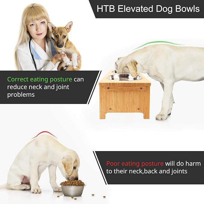 HTB Elevated Dog Bowl Stand with 2 Stainless Steel Bowls-7" H Medium Bamboo | Raised Dog Bowl Stand, 7"tall, 29 Oz Bowls, for Medium Sized Dogs, Pet-safe, Solid Bamboo - Image 6