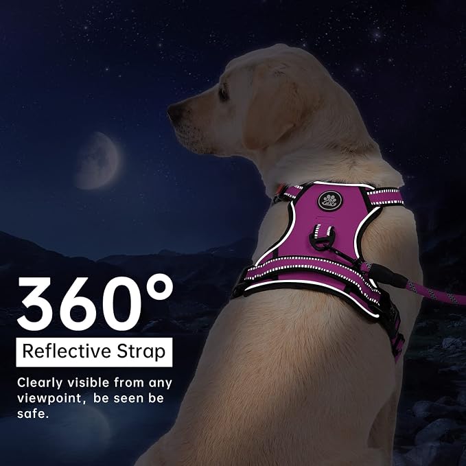 IVY&LANE No Pull Dog Harness for Medium Dogs,Dog Vest Harness with Leash,Safety Belt and Storage Strap, Fully Adjustable Harness,360° Reflective Strip,Soft Handle (Fuchsia Pink,M) - Image 5