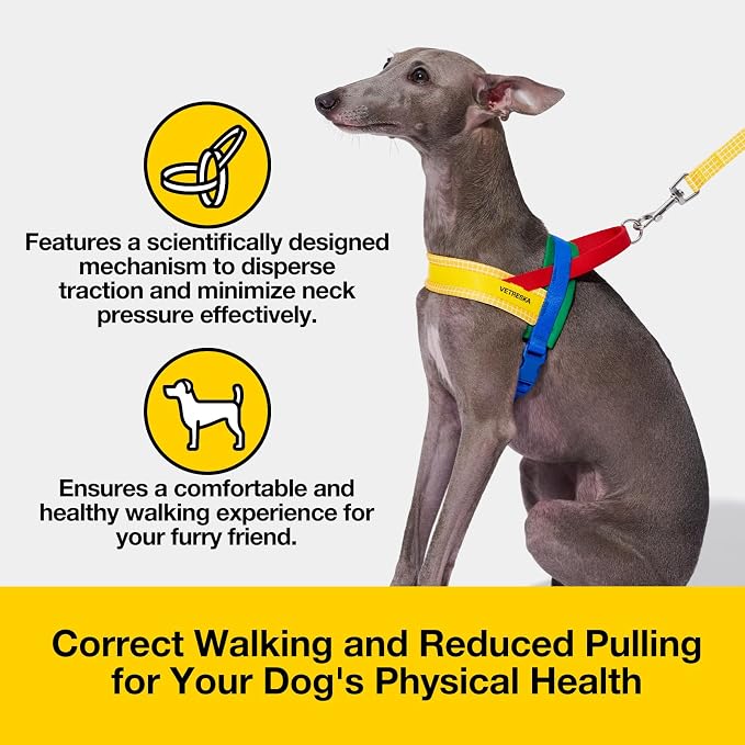 VETRESKA MoMA Dog Harness and Leash Set, Easy Walk Dog Harness, Yellow XS | for Small Medium Dogs, No Pull Puppy Harness for Walking and Training, Adjustable, Take Control & Anti-Twist Pet Lead Combo - Image 5