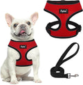 PUPTECK Small Dog Harness and Leash Set No Pull for XS XXS Sized Dogs Puppy | Escape Proof No Choke Pet Cat Adjustable Soft Padded Walking Vest by PUPTECK