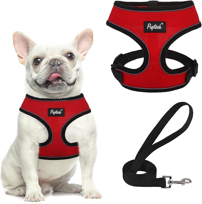 PUPTECK Small Dog Harness and Leash Set No Pull for XS XXS Sized Dogs Puppy | Escape Proof No Choke Pet Cat Adjustable Soft Padded Walking Vest by PUPTECK