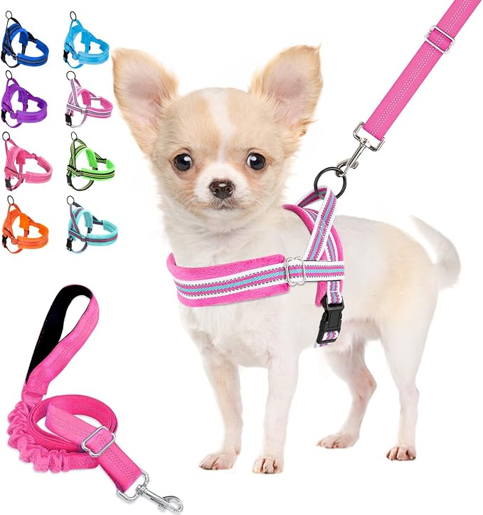 Lukovee Small Dog Harness and Leash Set, No Pull Soft Padded Vest | Both Neck & Chest Adjustable, Reflective, Puppy Harness with 4ft Lightweight Anti-Twist Dog Leash for Small Dogs (Fu,XXS) by Lukovee