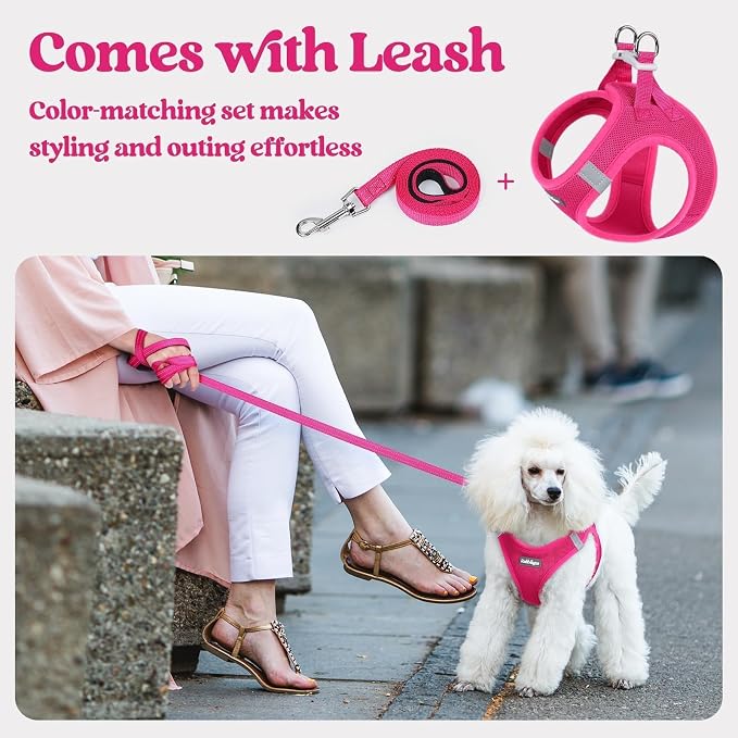 rabbitgoo Dog Harness Medium Sized and Leash Set, Step-in Puppy Pet Vest | Light, Soft, Breathable Air Mesh, Easy on and Remove with Hook & Loop, Secure Reflective for Walking, Rose Red XL - Image 5