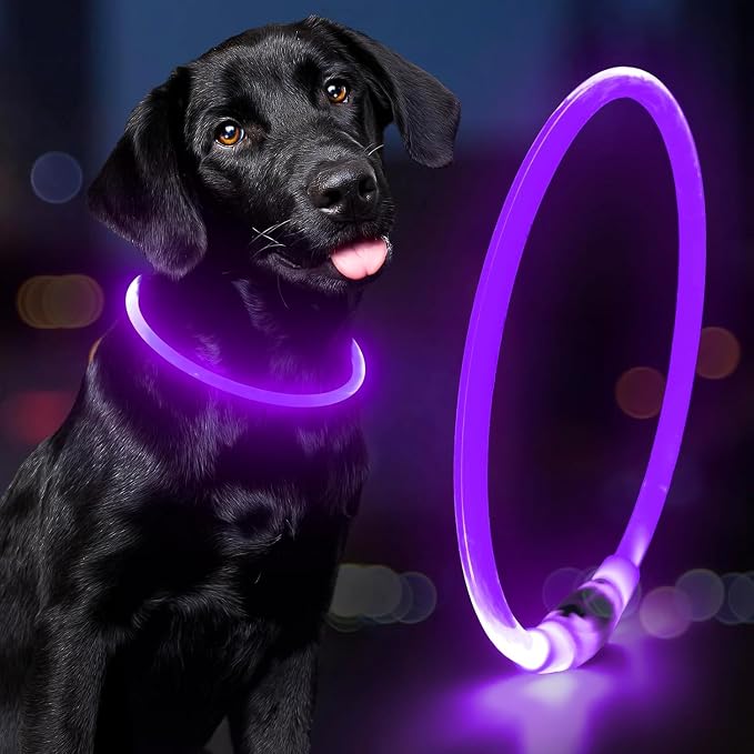 Light Up Dog Collars - Waterproof LED Dog Collar, Glow in The Dark Puppy Collar, TPU Cuttable Lighted Dog Collar for Small Medium Large Dogs (Purple) by Domagiker