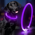 Light Up Dog Collars - Waterproof LED Dog Collar, Glow in The Dark Puppy Collar, TPU Cuttable Lighted Dog Collar for Small Medium Large Dogs (Purple) by Domagiker