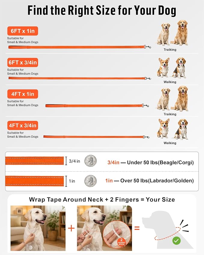 FunTags Reflective Nylon Dog Leash for Medium & Large Dogs, 6FT for Walks | Comfortable Padded Grip, Stay Safe at Night, 360° Anti-Tangle Swivel, for Dog Parks & Trails, Orange - Image 7