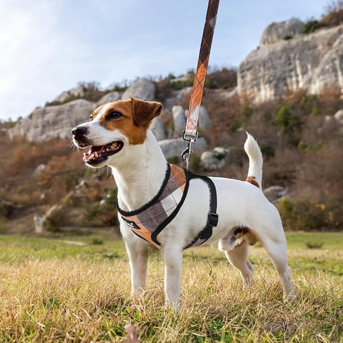 PUPTECK Small Dog Harness and Leash Set No Pull for XS XXS Sized Dogs Puppy | Escape Proof No Choke Pet Cat Adjustable Soft Padded Walking Vest - Image 6
